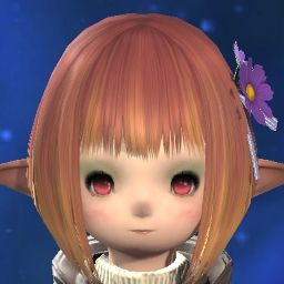Punkin Mandragora