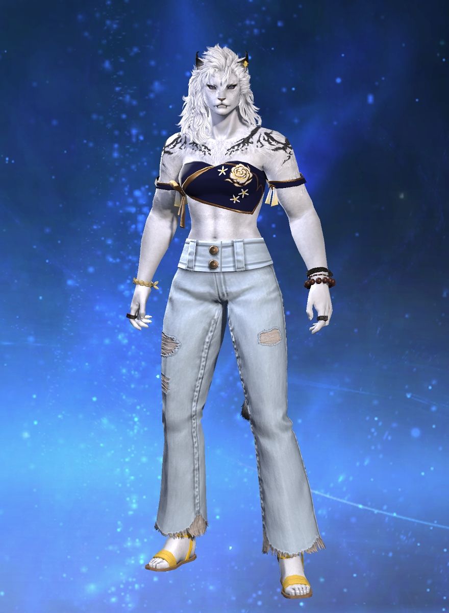 Aegis Nefelibata