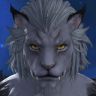 Valfuor Lionsmane