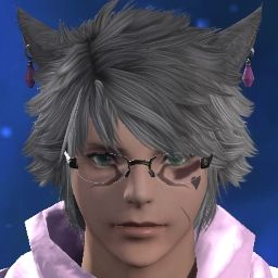 Stein Catboi