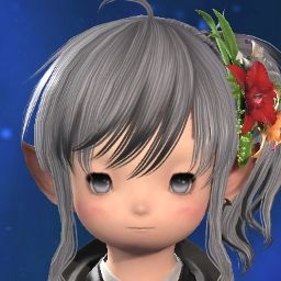 Cc Bb