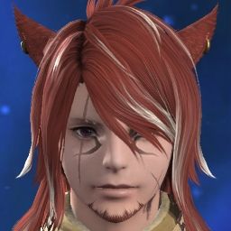 Drachen Fyre