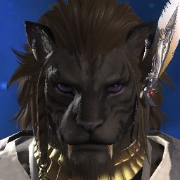 Roman Cattus