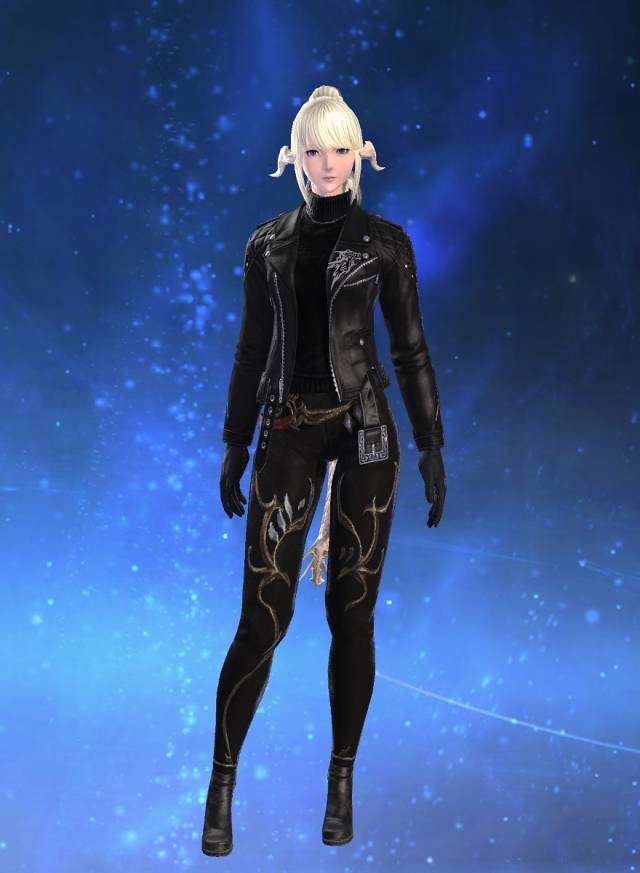 Arya Varden Adamantoise Ffxiv Collect