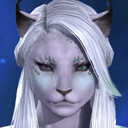 Evie Amour