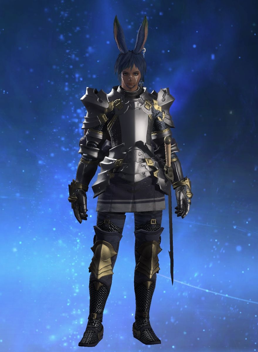 Paladin Ga'aymer