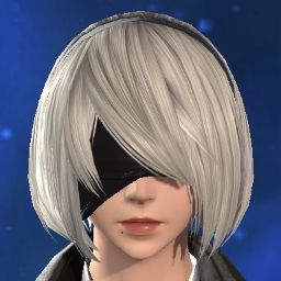 Yorha Notwotypeb