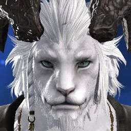 Bjorn Aelius