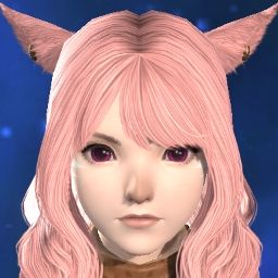 Asobi Miqo'te