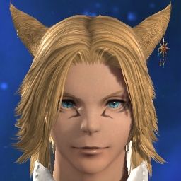 Thief Zidane'tribal