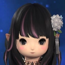 Callie Dollie