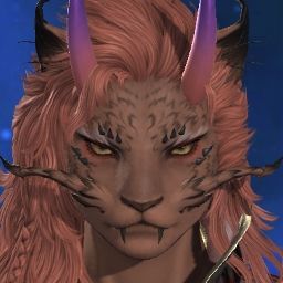 Beefy Miqo'te