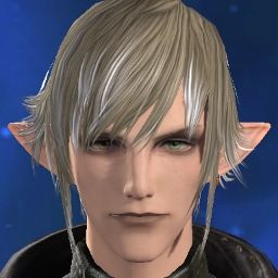 Elliot Anamnesis