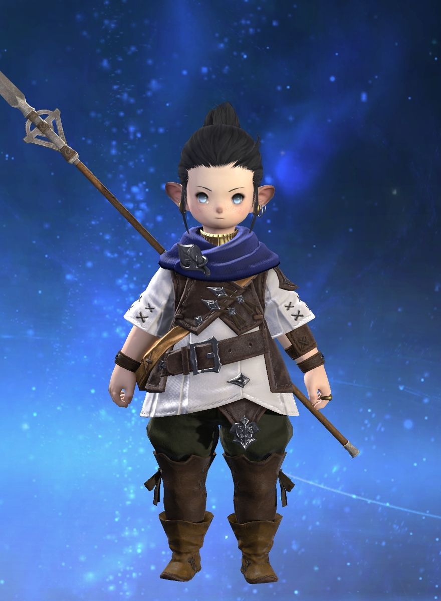 Tim Vell FINAL FANTASY XIV, The Lodestone