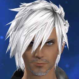 Garou Herohunter