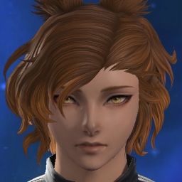 Avarus Aetion