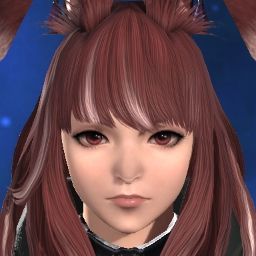 Torimeshi's Avatar