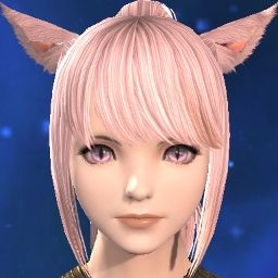 Jin Sekka