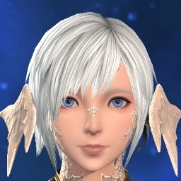 Tsubasa Mm