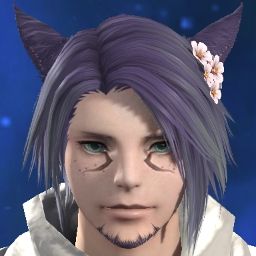 Raiden Evergarden
