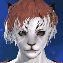 Kiravent Miko
