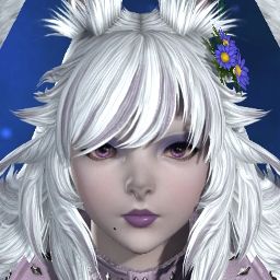 Ferris Nya