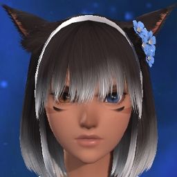 Nova Okami