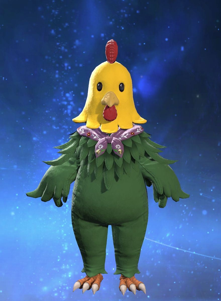 Budgie Chan