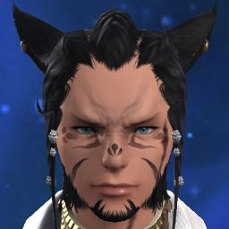 Gato Negro