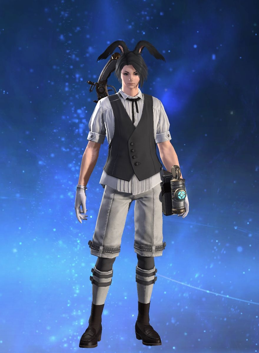 Miko Turnwing