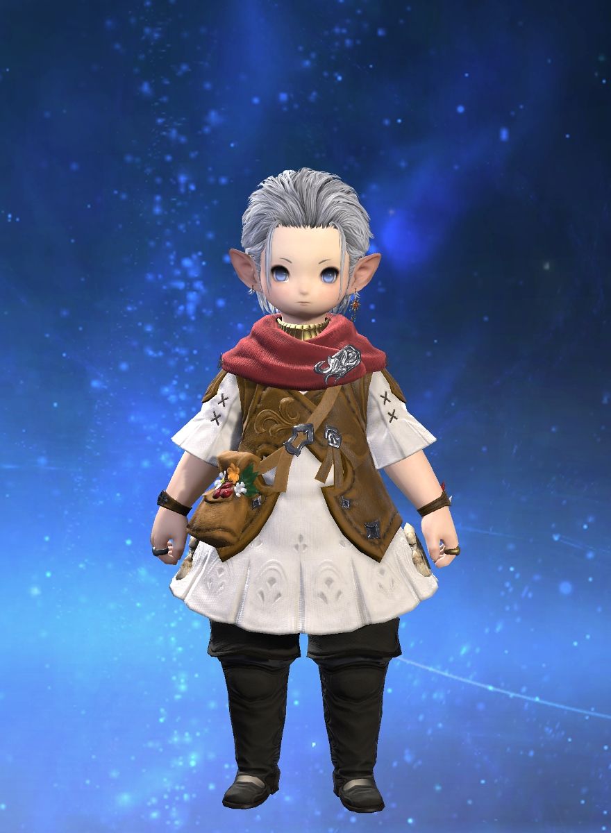 Gear Norma