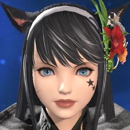 Libca Parser