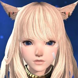 The Misa