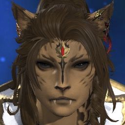 Commander Furb