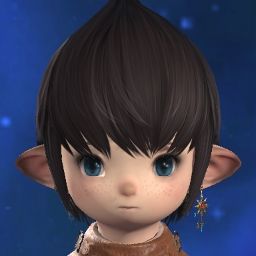 Popoto Chip