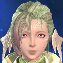 Gava Cos