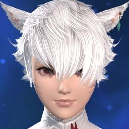 Raid Waifu