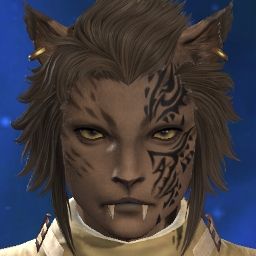 Feirce Kat