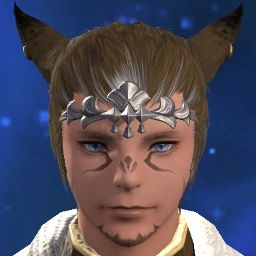 Neinwulf Coyote
