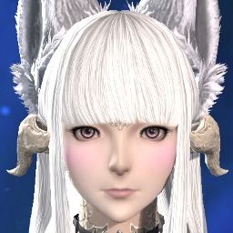 Ari Cat