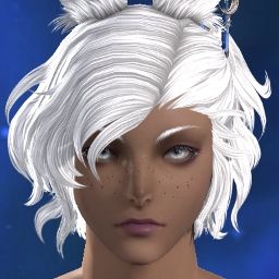 Mrs Valkyrie