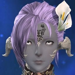 Toraseiki's Avatar