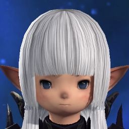 Budget Estinien