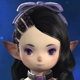 Zinn Lavender