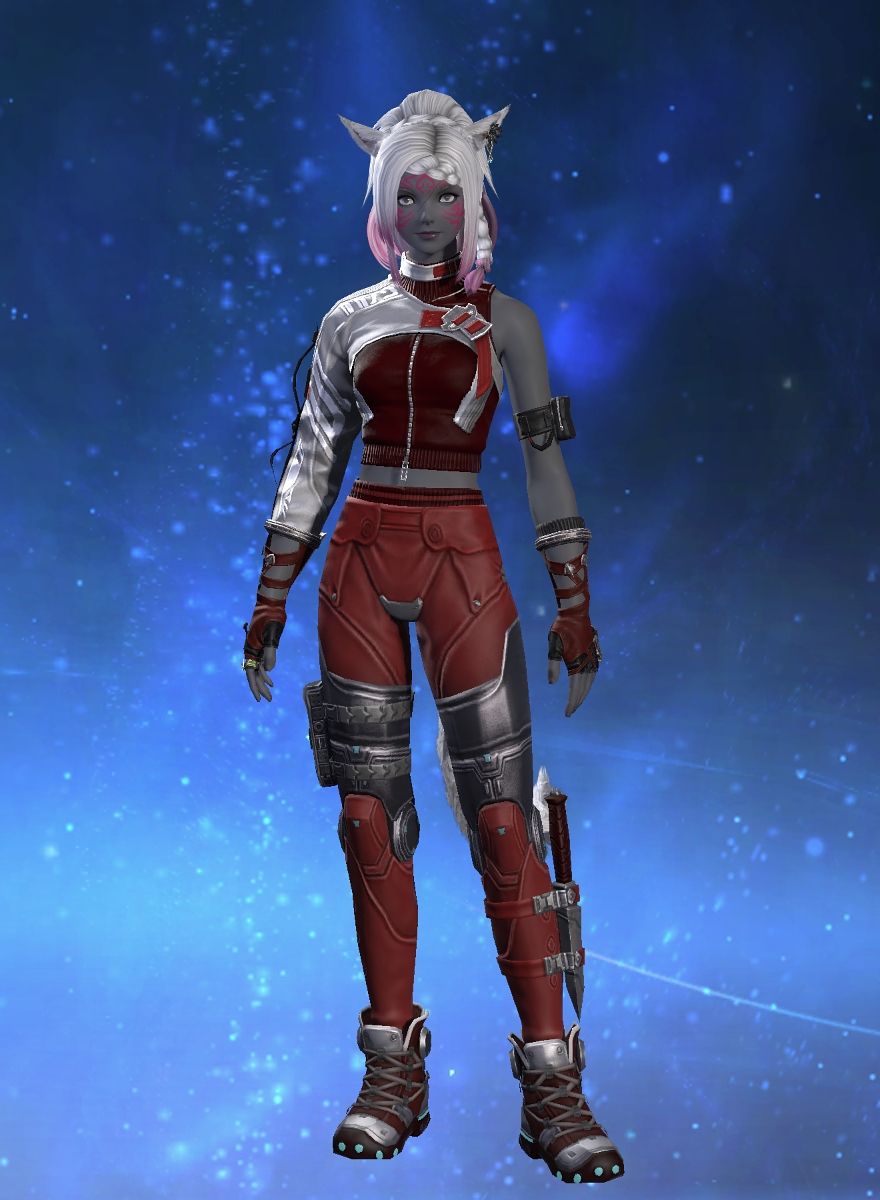 Catgirl Crusader