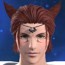 Syn Gara