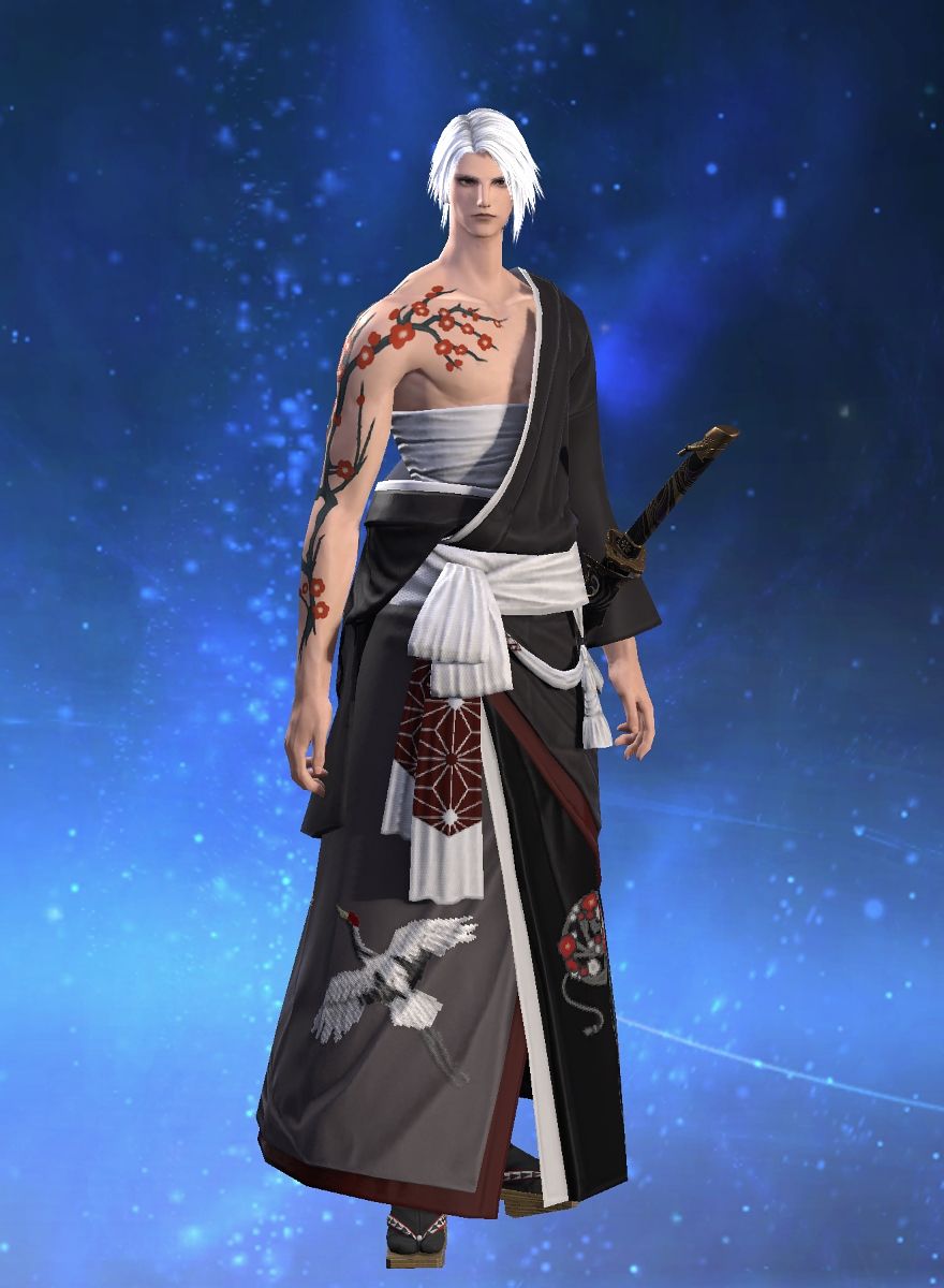 Hayabusa Lagusa