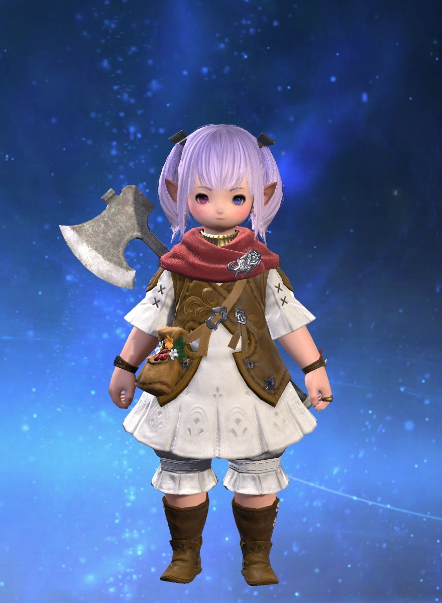 Aegis Small