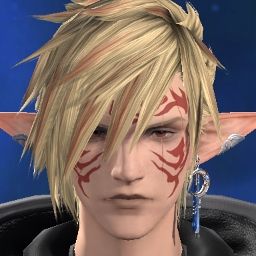 Tora Punk