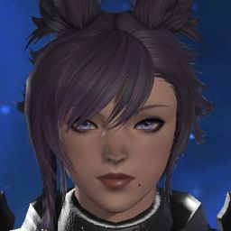Silve Invicil